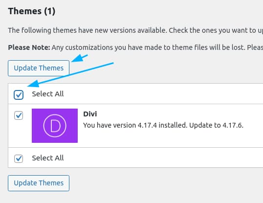 An arrow pointing to a checkbox to select all themes. Another arrow pointing to a button with the words Update themes.